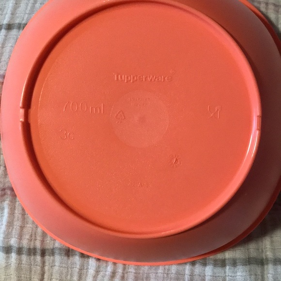 TUPPERWARE PLATES - Picture 6 of 7